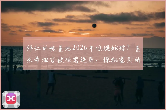 拜仁训练基地2026年惊现蛇踪?基米希坦言被咬需送医,探秘塞贝纳大街场地安全管理内幕