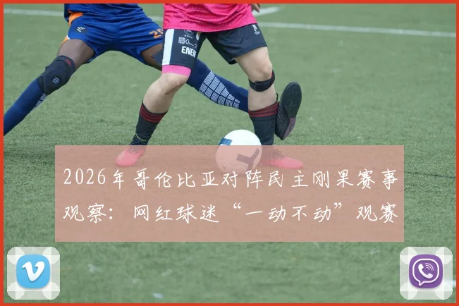 2026年哥伦比亚对阵民主刚果赛事观察：网红球迷“一动不动”观赛引热议，深度剖析中立球迷观赛文化